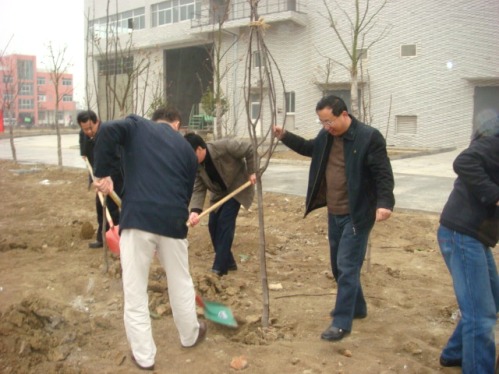 武进项目公司发展植树活动