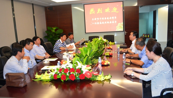 天津市宁河县当局辅导调查6008集团