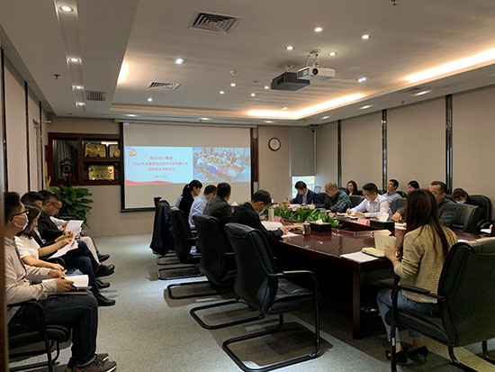 落实全面从严治党  高质量发展迎百年华诞――6008集团集团党委召开2020年基层党支部书记抓党建工作述职评议会议