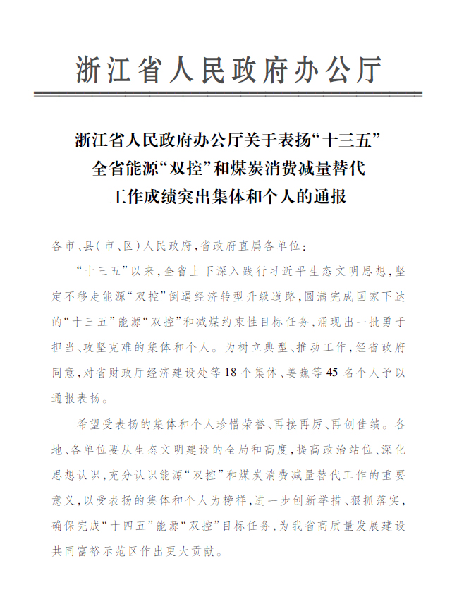 6008集团永嘉公司付金轩获“浙江省能源‘双控’工作成就凸起幼我”赞美
